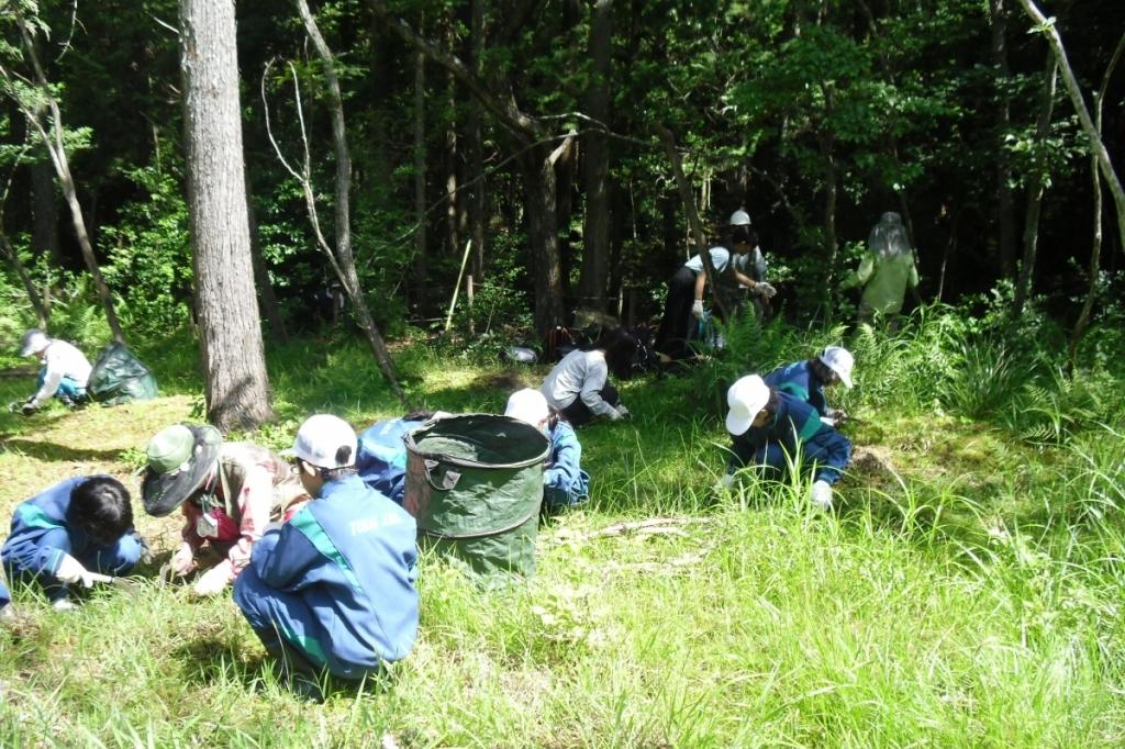 ７月の北山湿地保全活動をレポートします