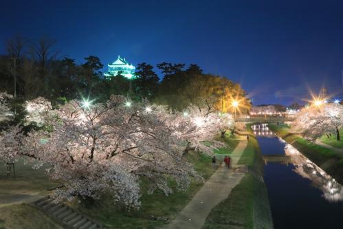 2023年「桜まつり」を開催します！