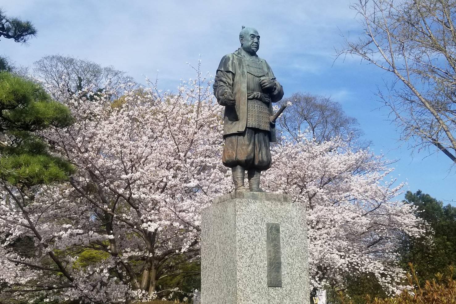 2023年3月28日（火）桜の開花状況を公開しました！