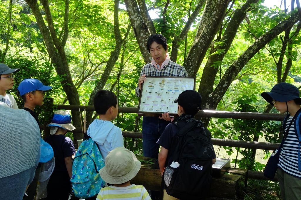 「生きもの調査とヤゴ教室」を実施しました！