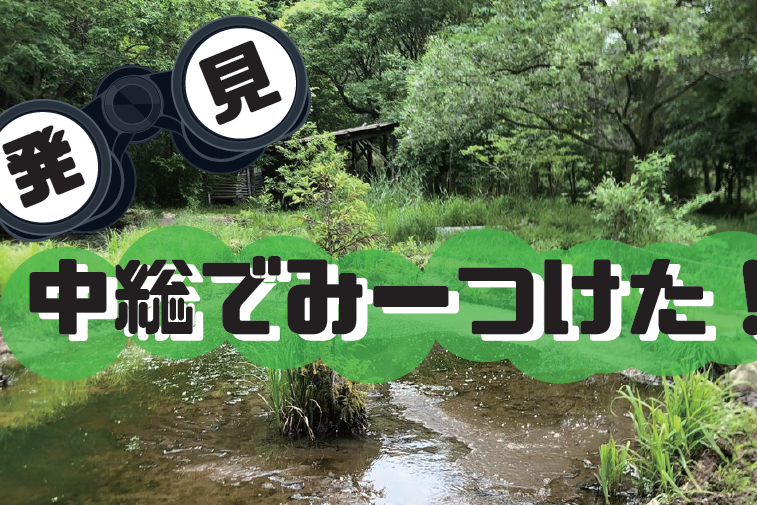 「発見！中総でみーつけた！」を開催します！