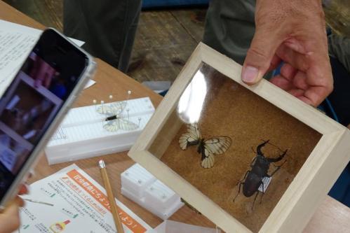 「昆虫標本づくり教室」「夏休み昆虫ライトトラップ体験」／森の教室」を実施します！！