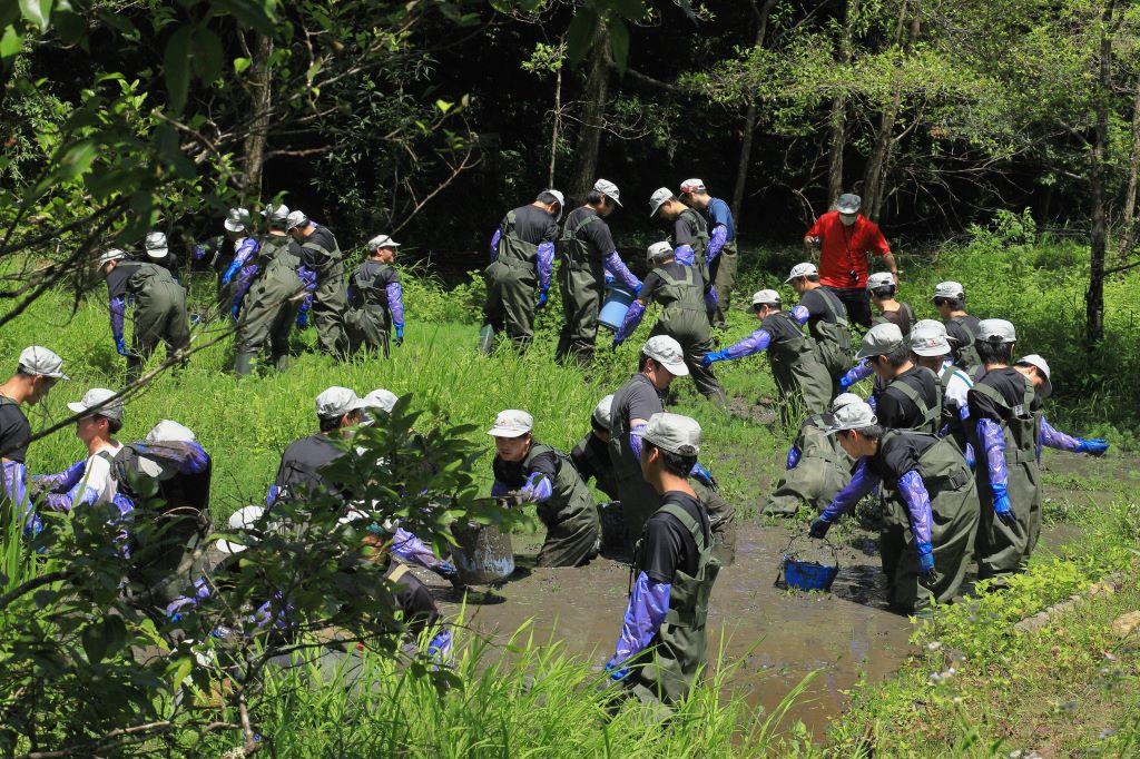 「特定外来生物オオフサモ駆除／三菱自動車岡崎新人研修（地域貢献活動）」を実施しました！