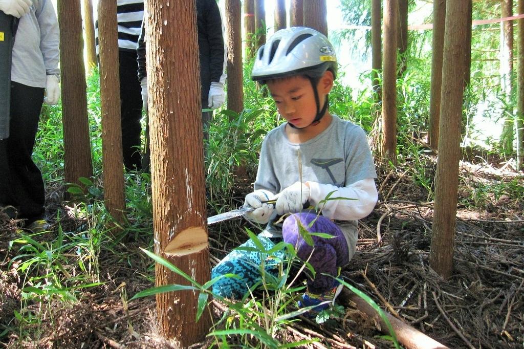 水源林の散策や間伐体験ができる「おと川リバーヘッド大作戦」を開催します！