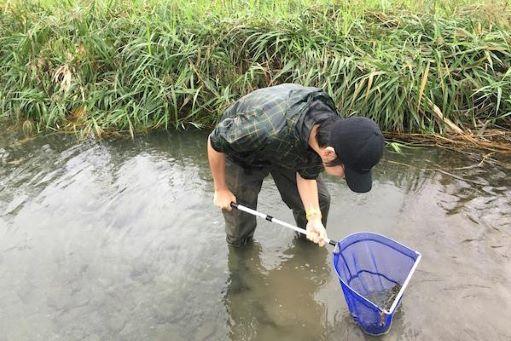 「池や川の魚を調べよう」　※8月22日まで受付中！！