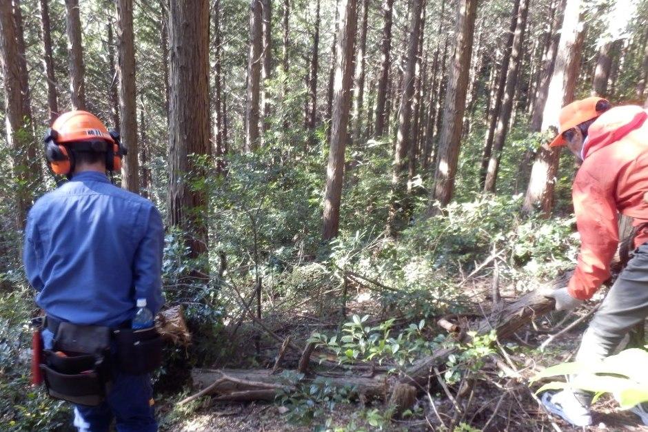 「ホタルの里の登山道ルート整備」を開催します！