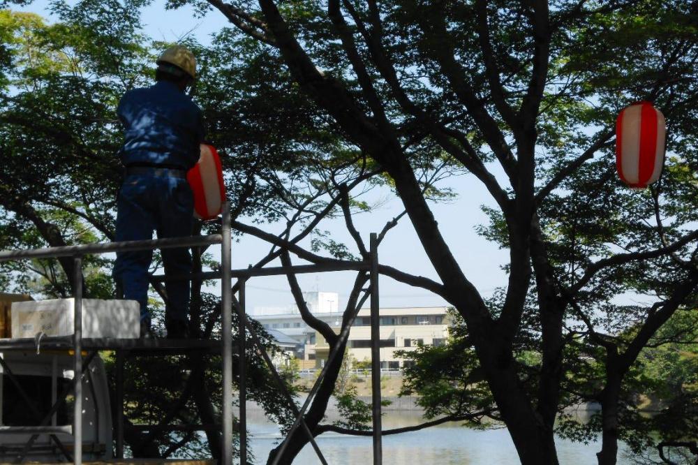 公園内では夜間照明の準備が進んでいます。