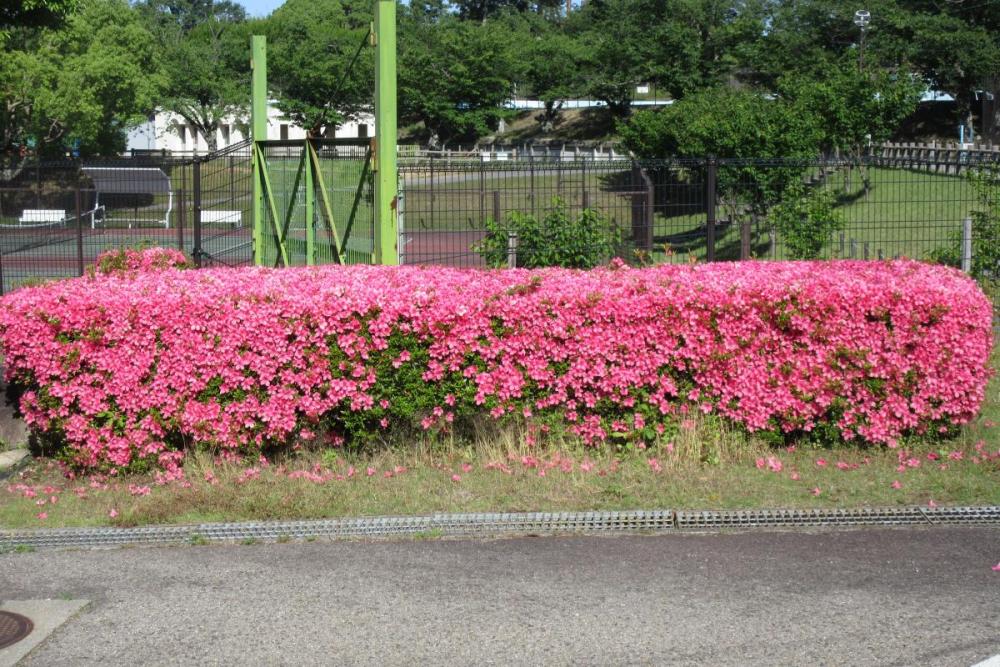 交通広場ゴーカート乗り場付近