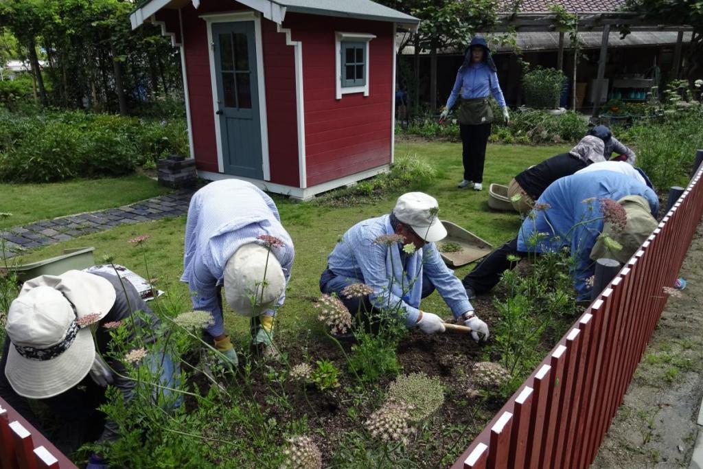 雨の後は、草も元気なので、大変です。これも楽しむ！