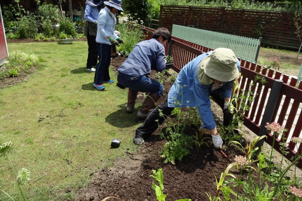 種から育てた苗は大切に植えます。