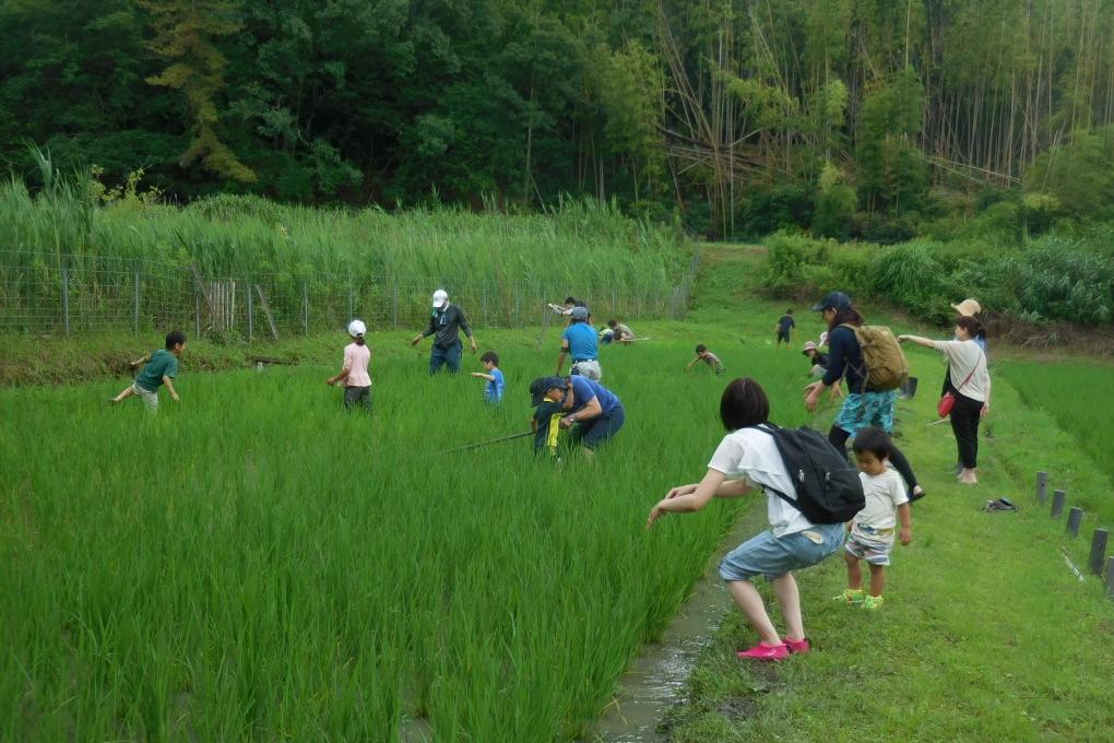 手作業でもがんばるぞ！