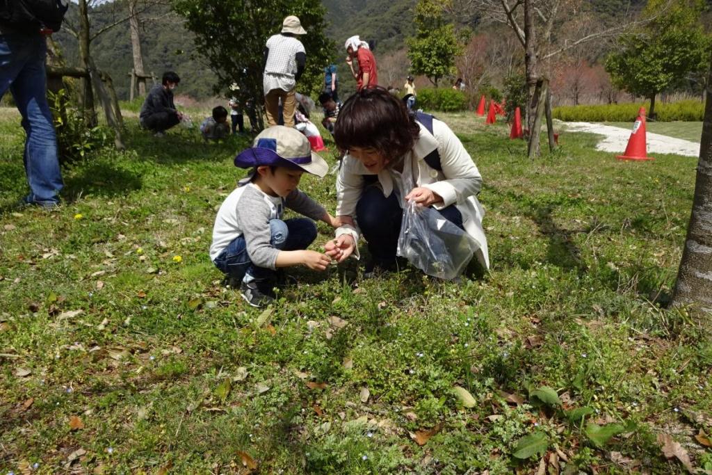 皆で手分けして探そう！