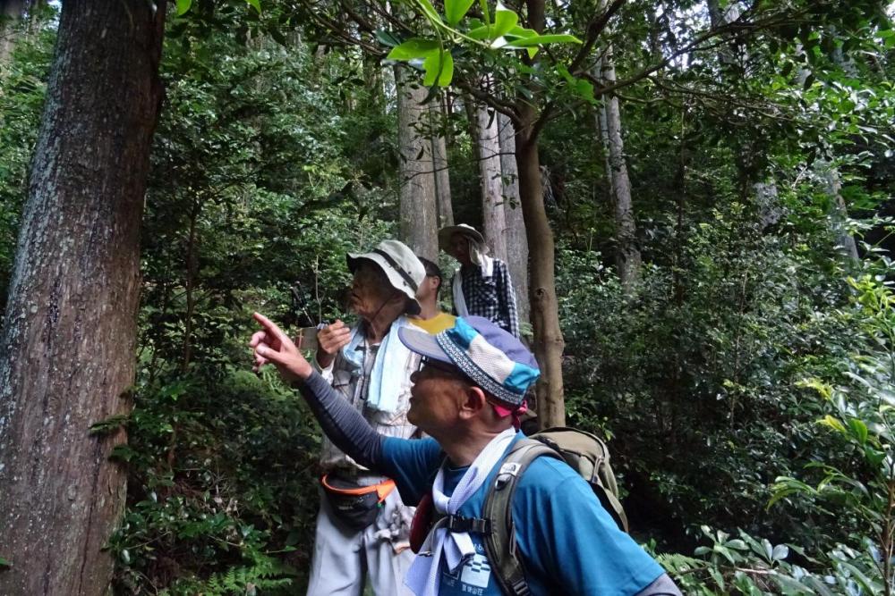 幻の岩清水へ下る