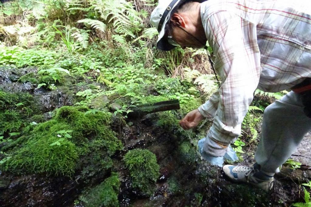 気持ちのいい冷水