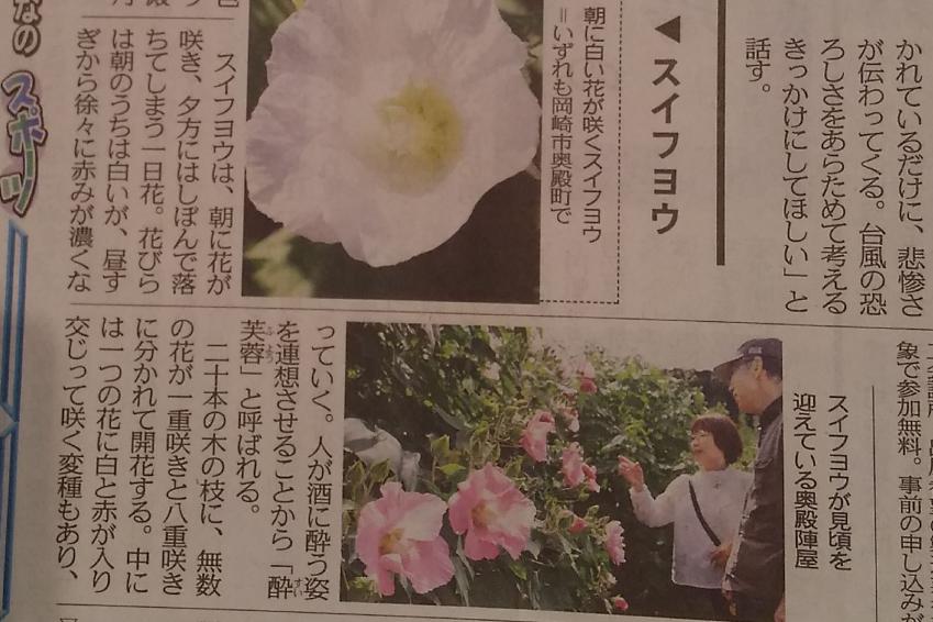 中日新聞に掲載されました。