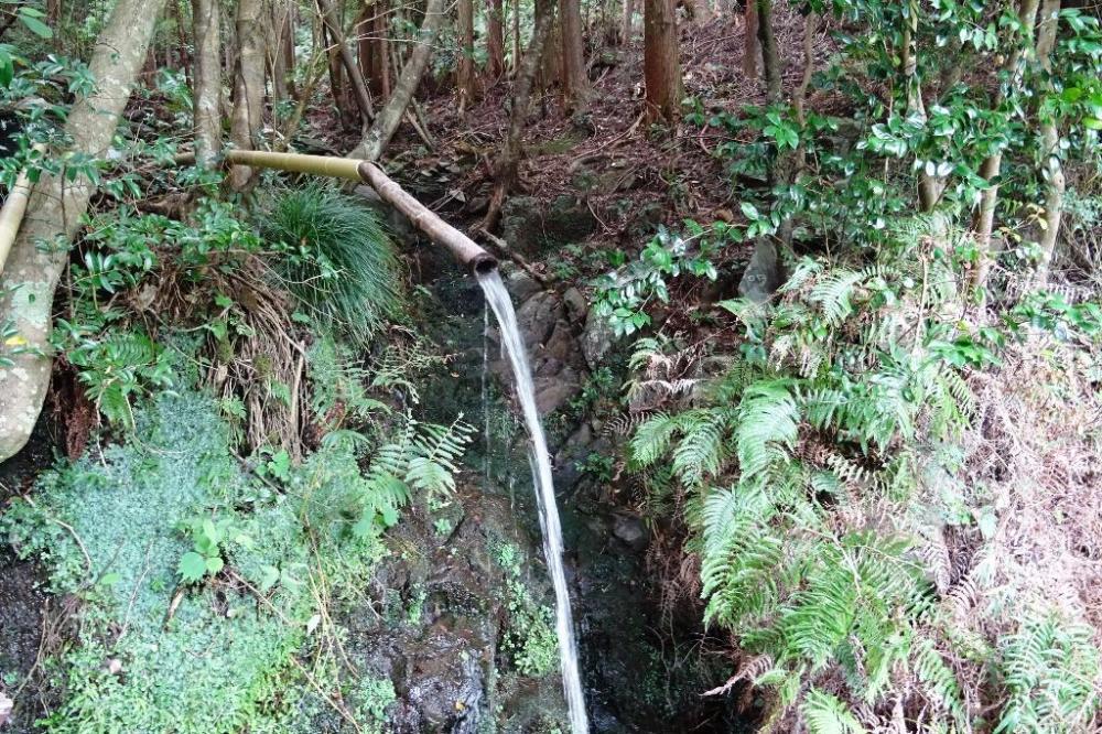 産湯の滝