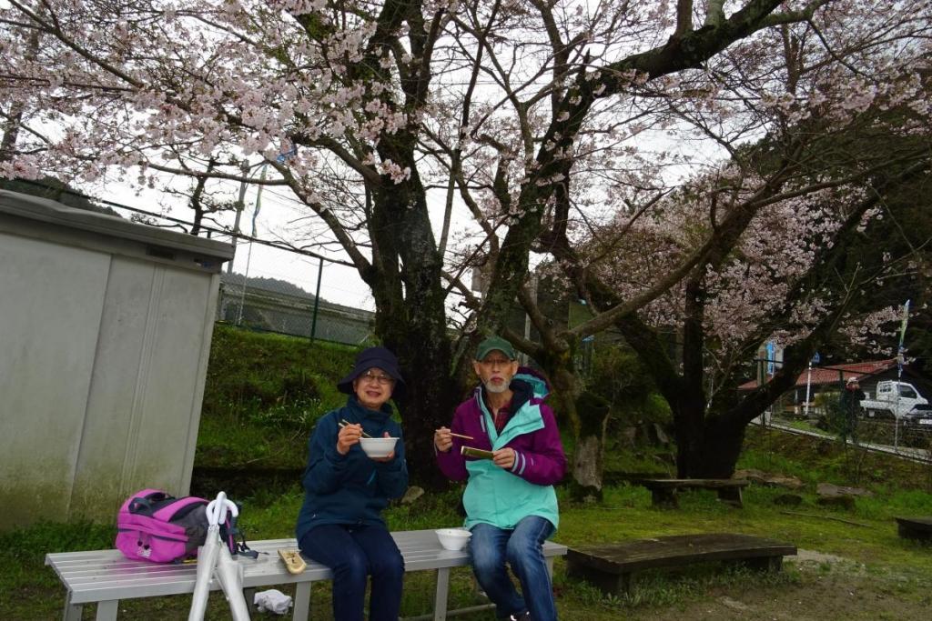 花見気分でいただきま～す