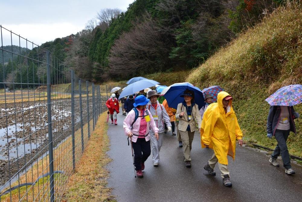 ミツマタ群生地目指して歩きます