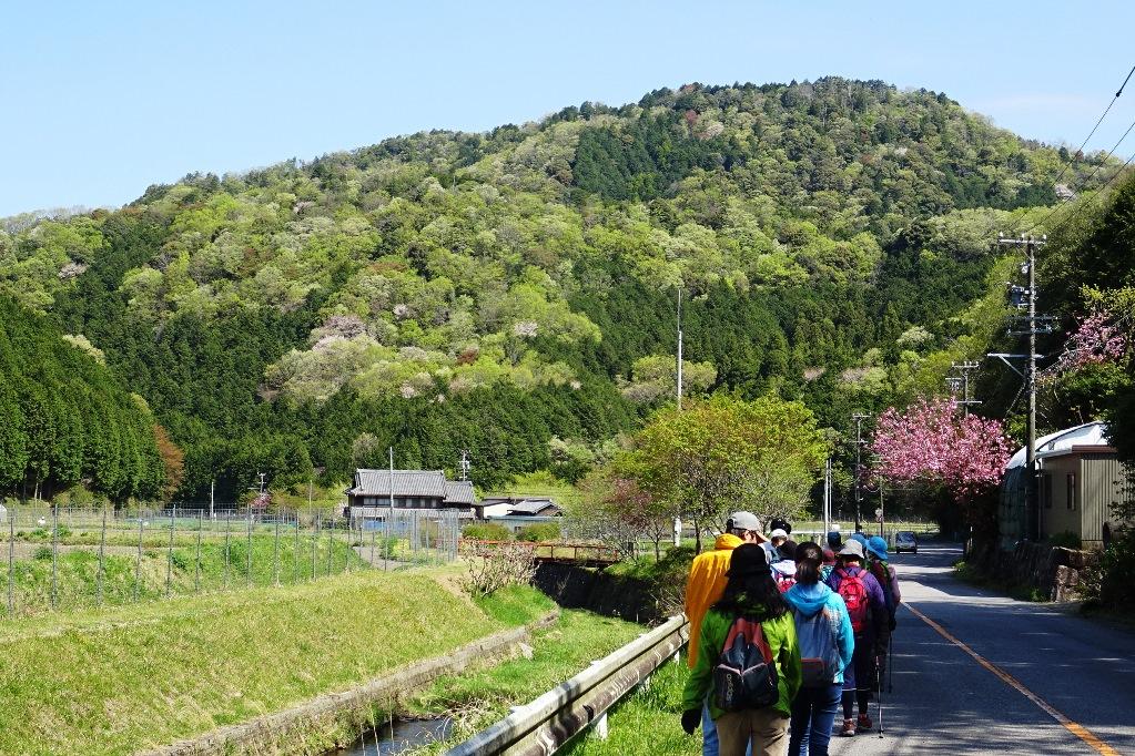 新緑の山を眺めながら登山口へ進みます