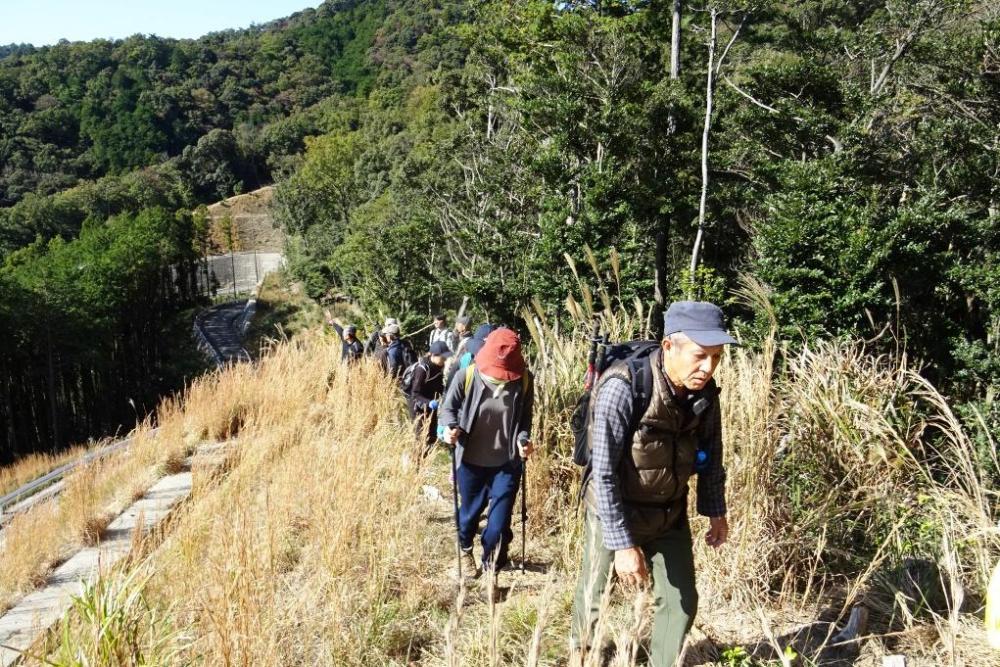 日差しがあたたかいです