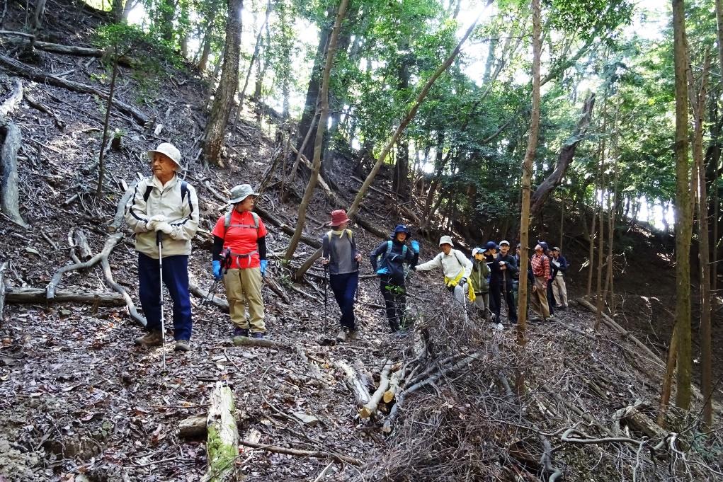 額堂山山頂を目指して歩きます