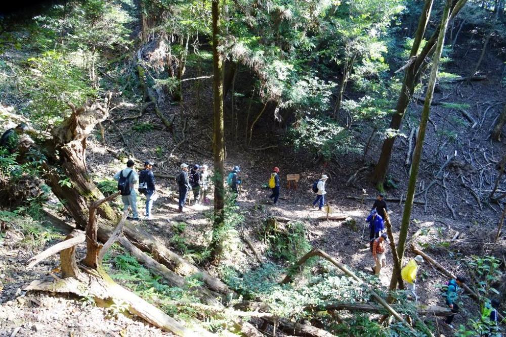 ホタル学校を目指して下山していきます