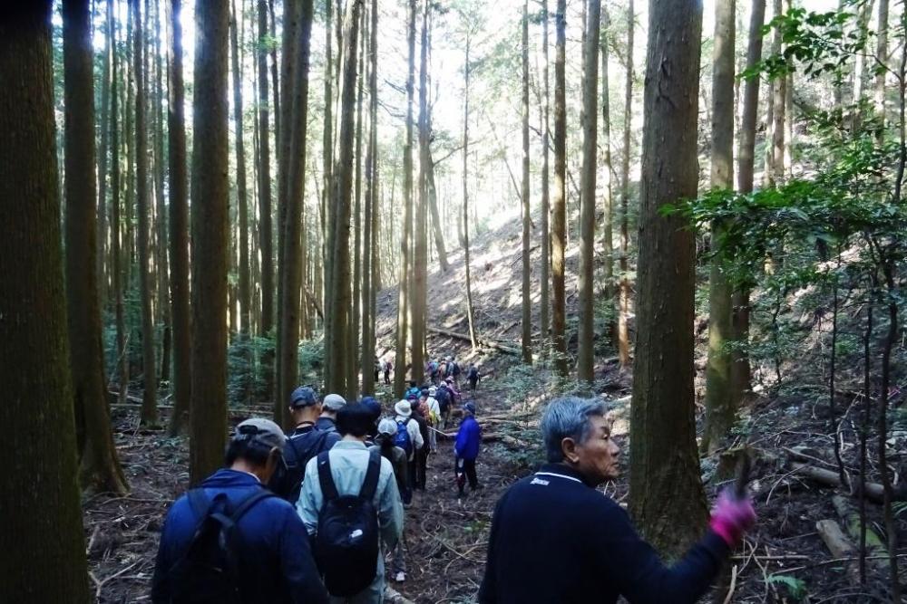 木々の状態を確認しながら進む方も