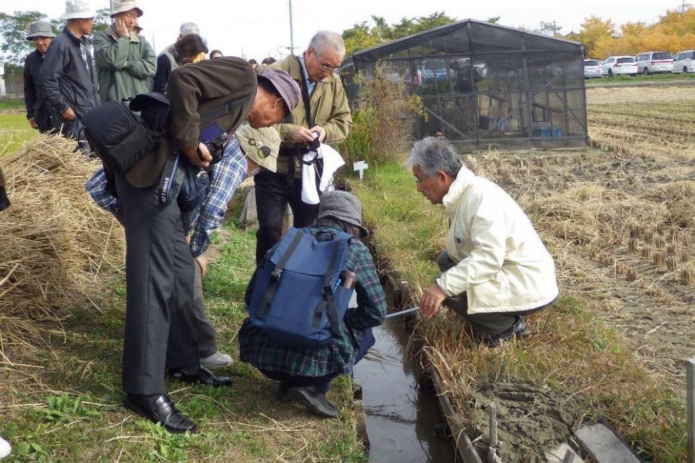 実験田の水路