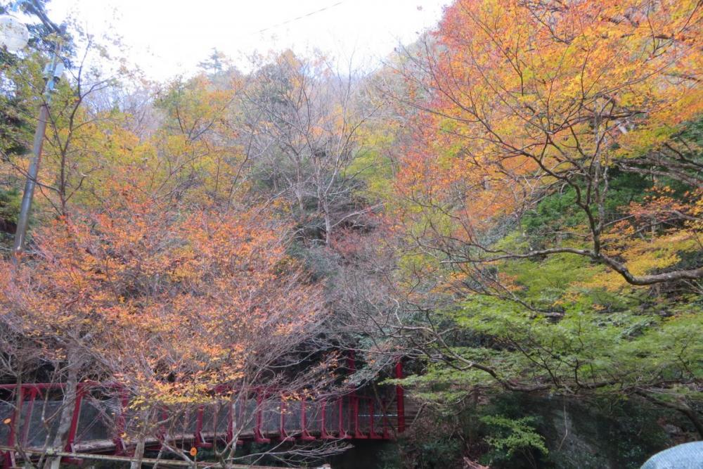 くらがり山荘から猿神橋