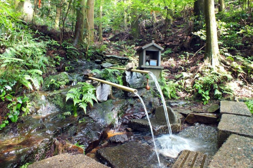 鳥川ホタルの里湧水群②