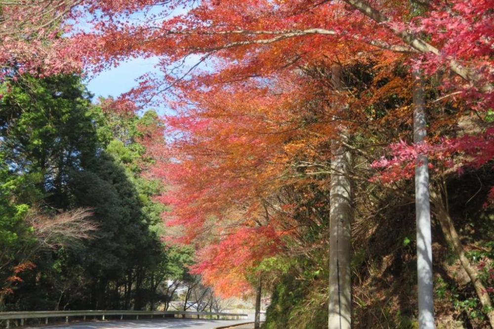 19年のくらがり渓谷紅葉情報はこちら 新着情報 くらがり渓谷 水とみどりの森の駅 岡崎おでかけナビ 岡崎市観光協会公式サイト