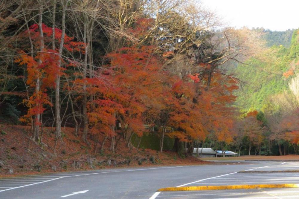 第1駐車場