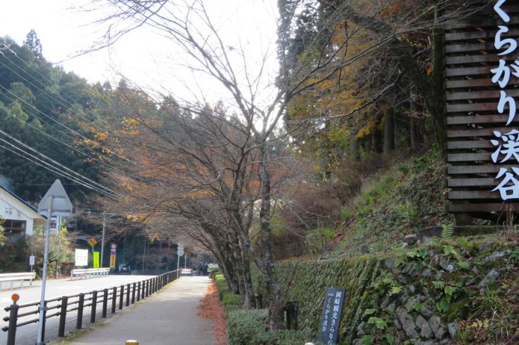 第1駐車場から登山口。すっかり落葉