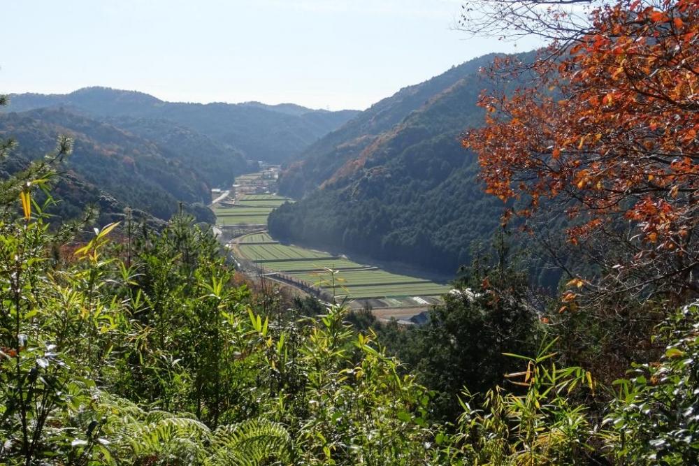 鳥川の風景を一望できます