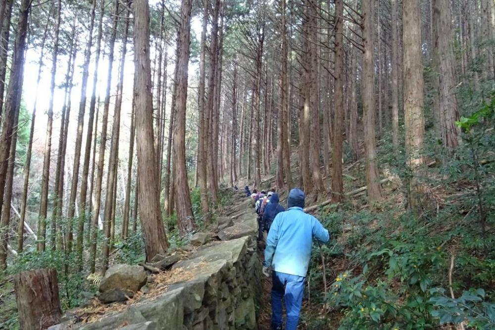 猪垣から鳥川の歴史を感じます