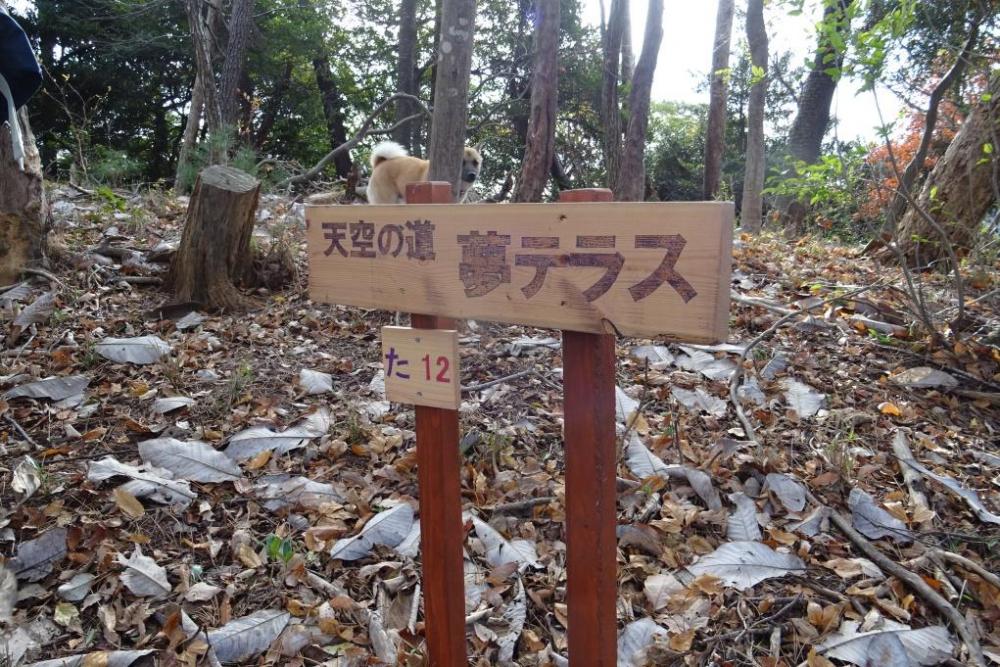 新たな登山道「夢テラスルート」