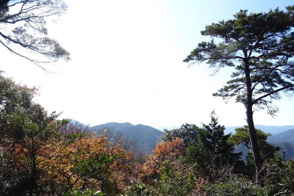 水晶山山頂からの眺め