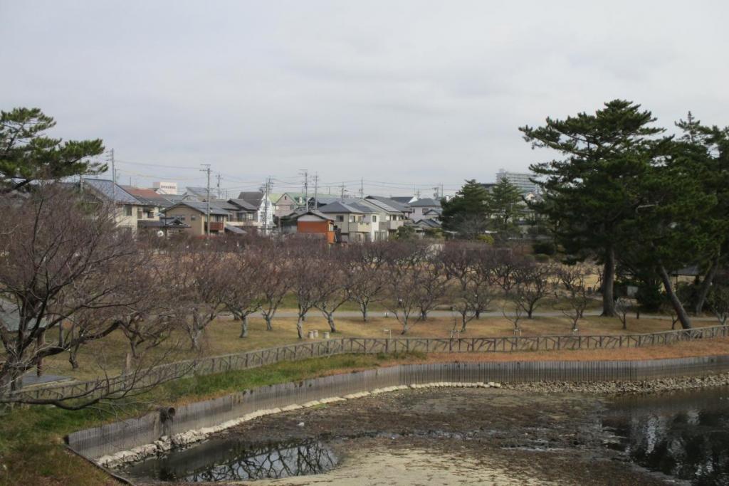全景1