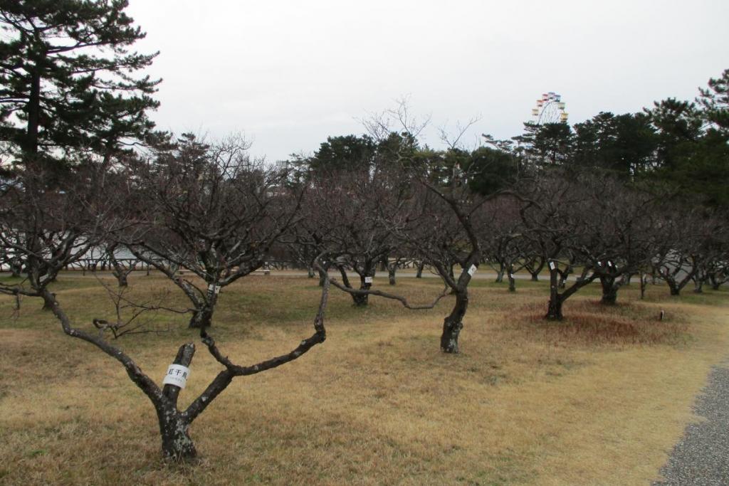 全景2