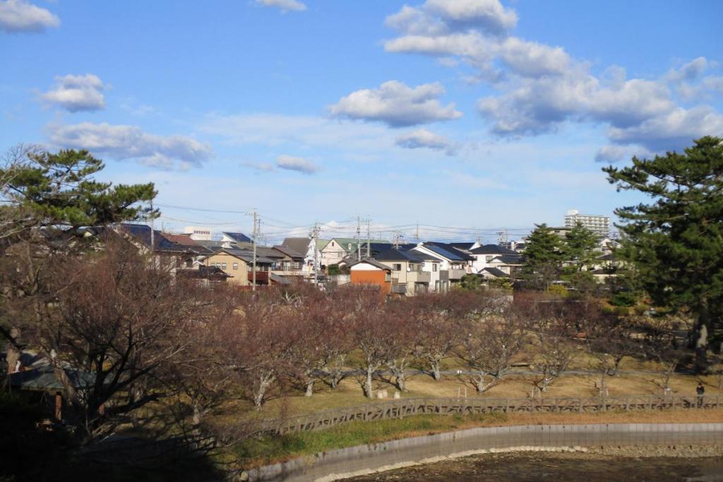 全景1