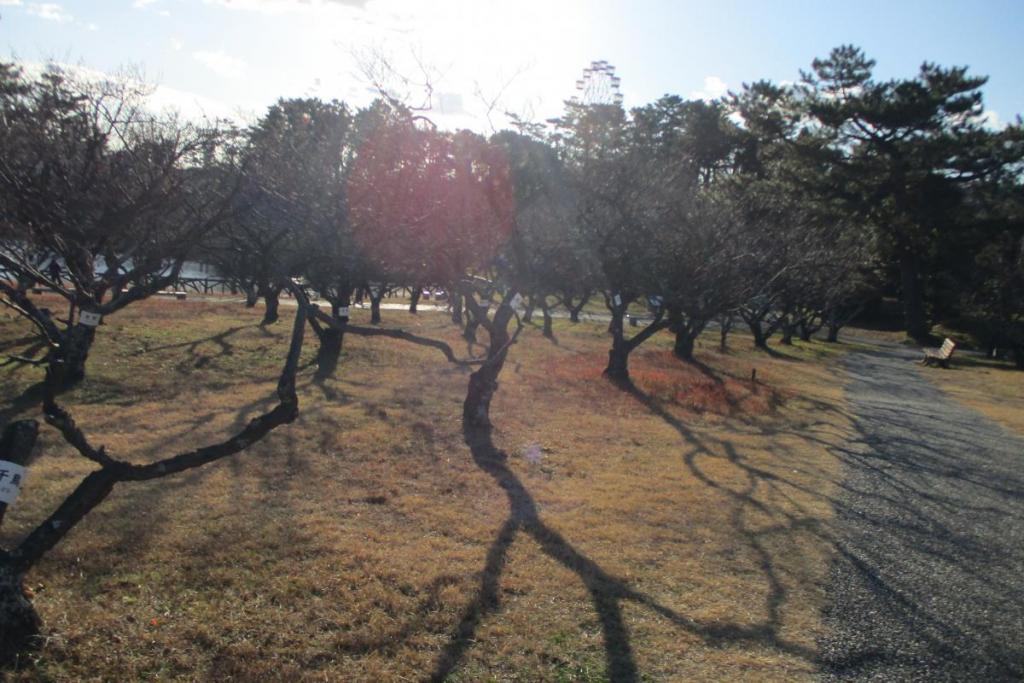 全景2