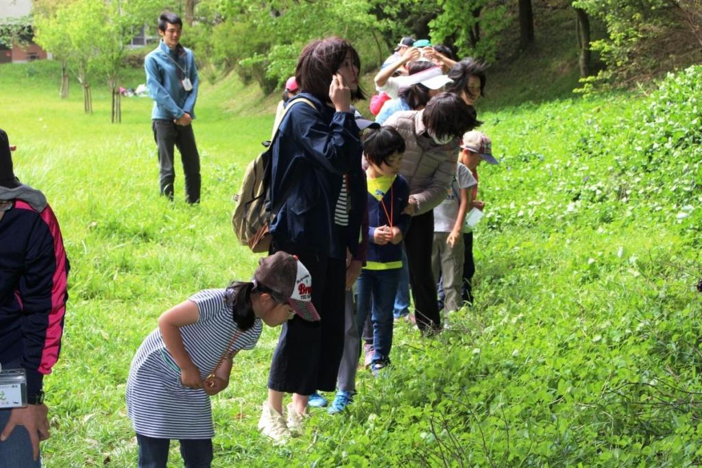 ゆっくり歩きながら隠された人工物を数えます