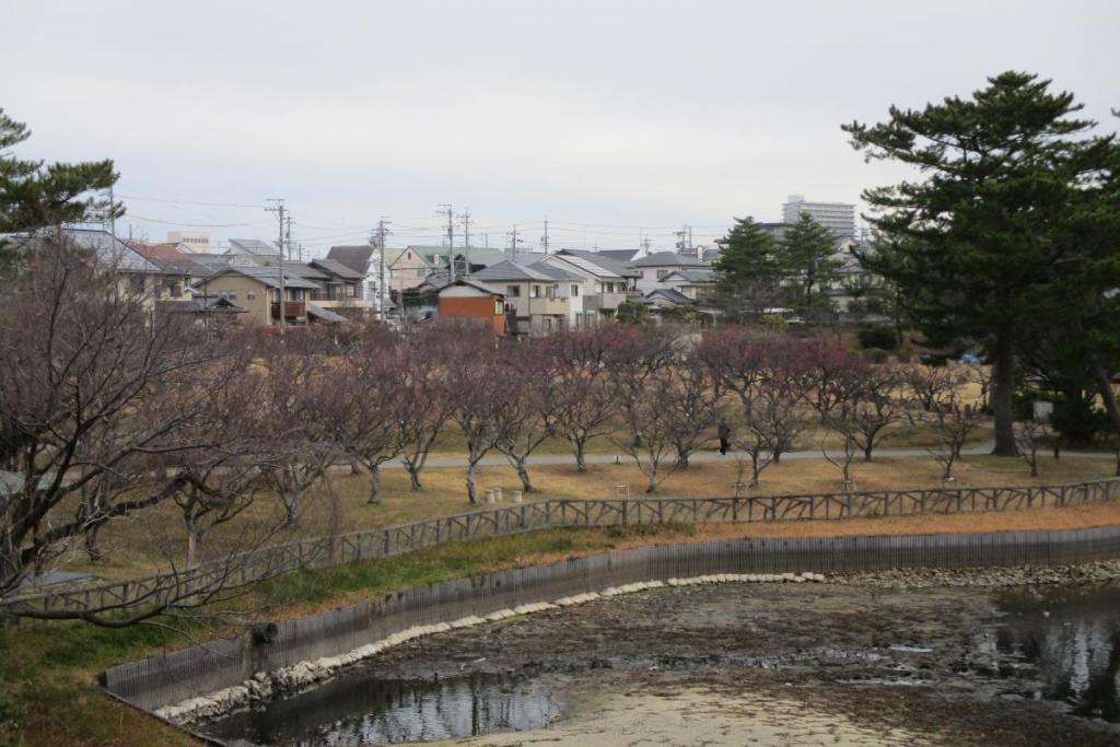 全景1
