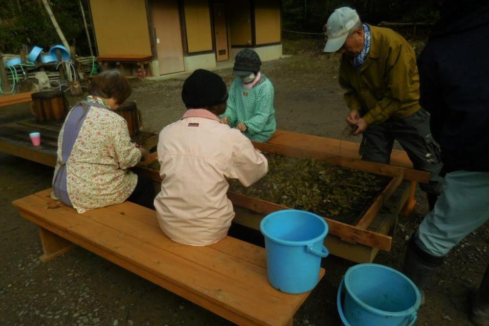 茎を取り除きます。簡単にポロッと取れます。根気よく！