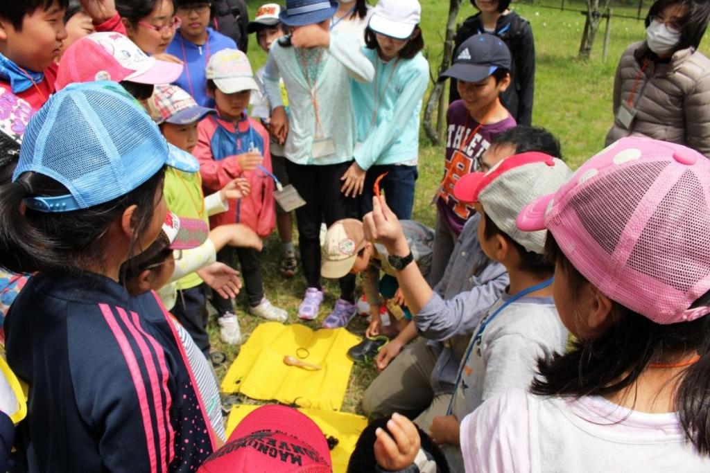 分かりやすかったもの、分かりにくかったものを選別