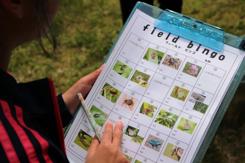 カードに書かれた生き物を探します