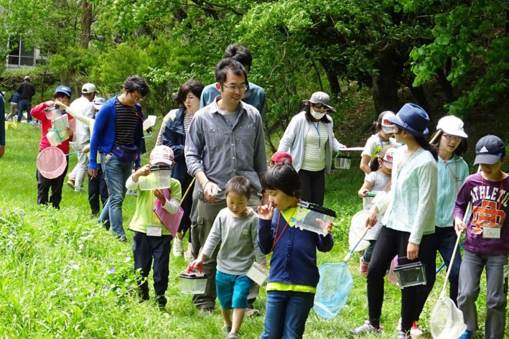 生き物探しにレッツゴー！