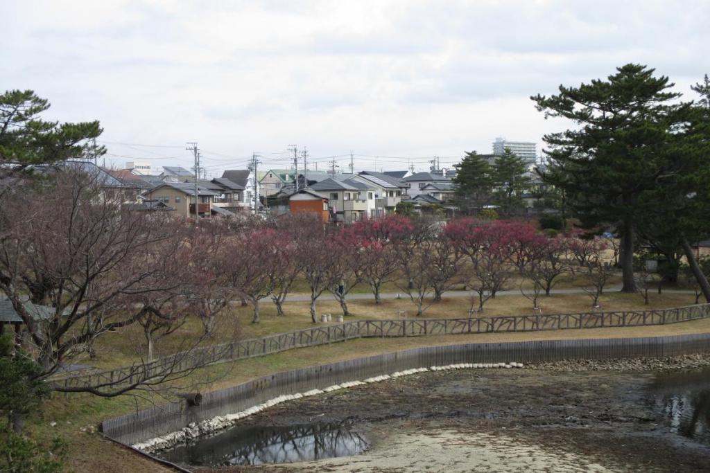 全景1
