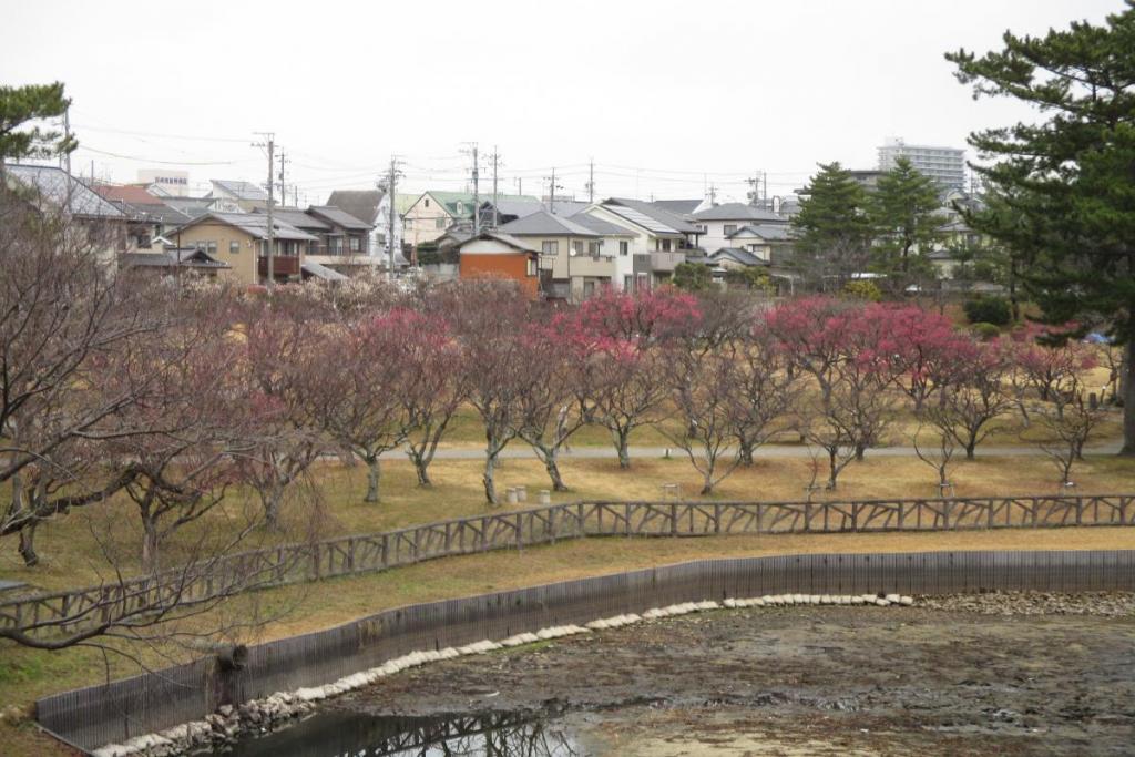 全景1