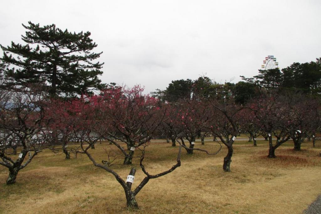 全景2